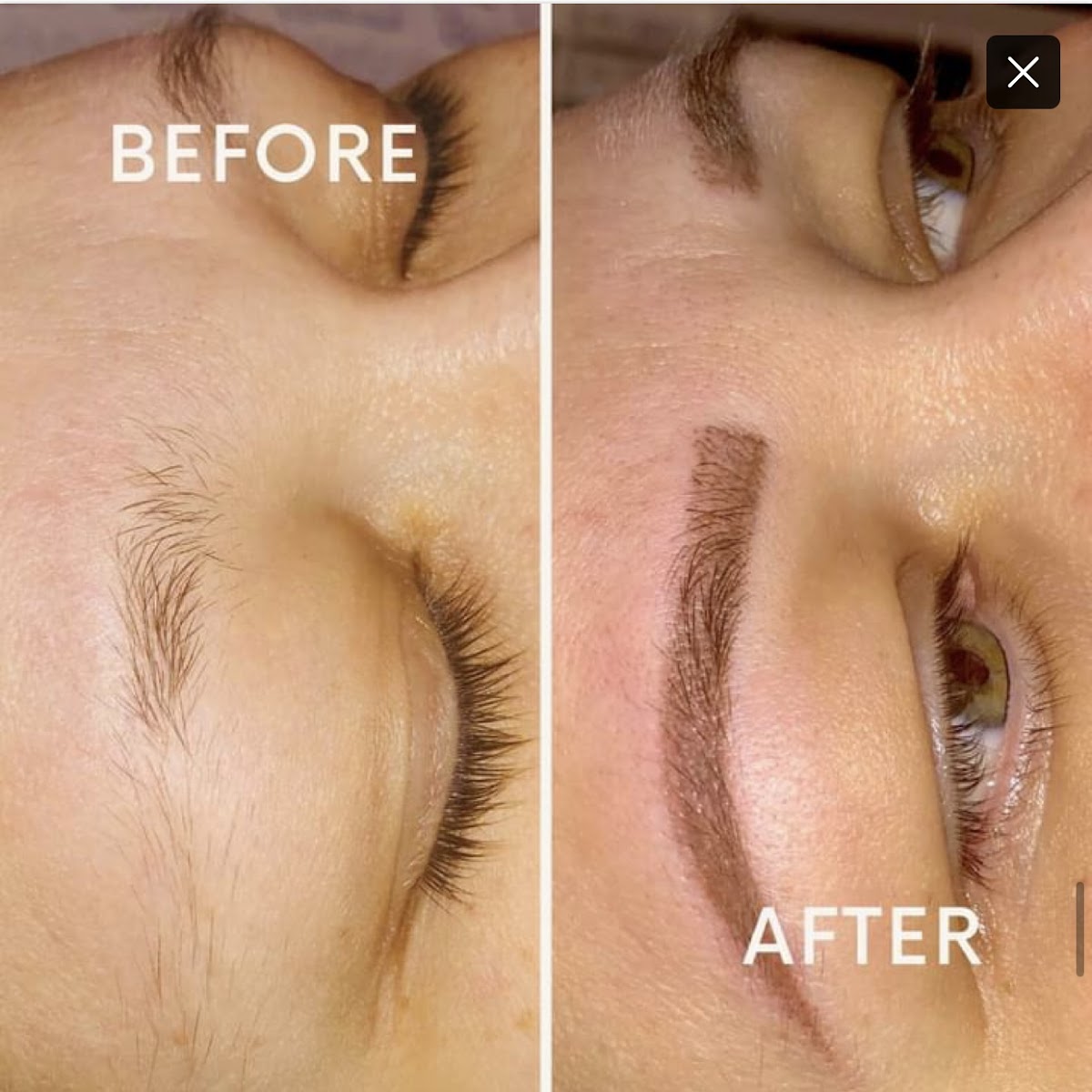 Elite Wellness & Beauty Spa