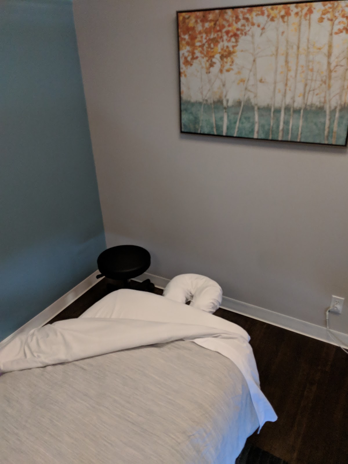 Alleviate Massage Therapy & Wellness